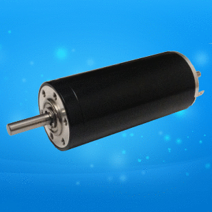 30SYK6200.C DC Coreless Motor